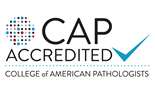 Cap Cert Large Microsoft Color