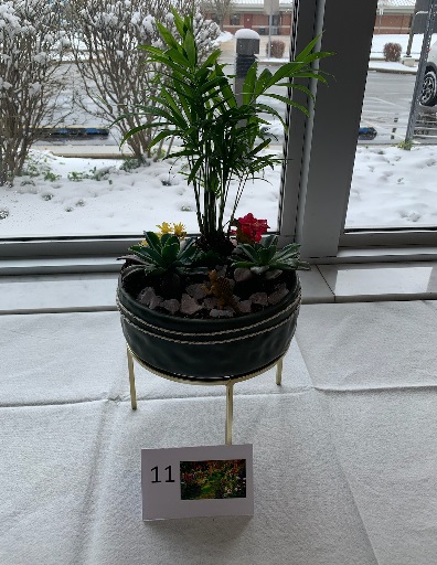 garden 11