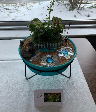 garden 12