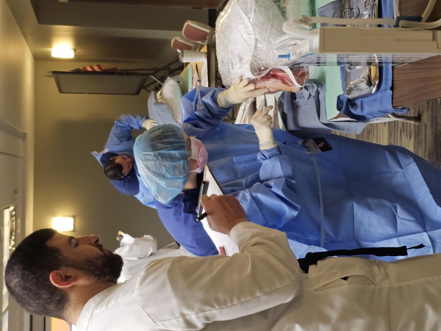 simulation chest tube trainer