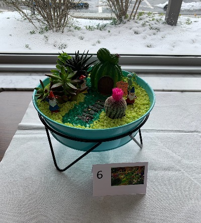 garden 6